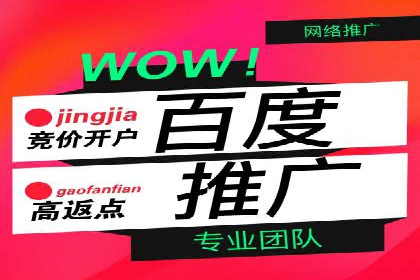 竞价广告案例分析：广告投放成本控制策略
